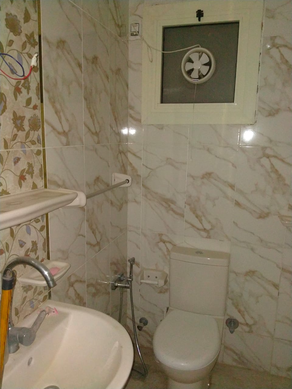 صورة العقار