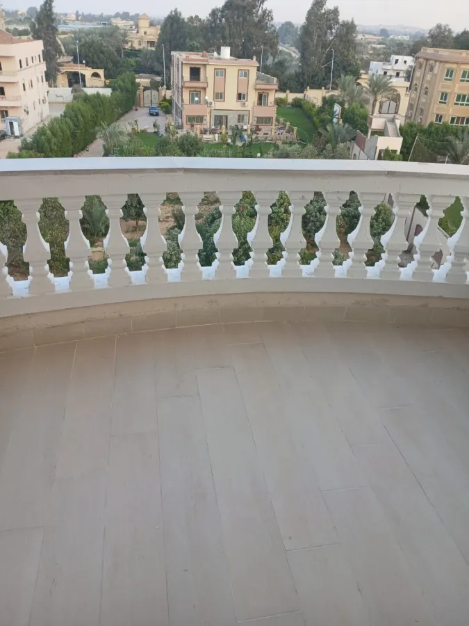 صورة العقار