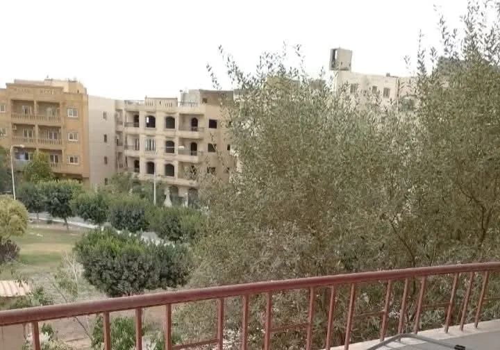 صورة العقار