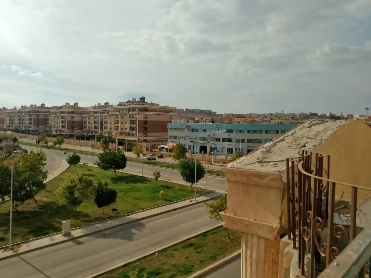 صورة العقار